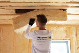 Eco-Friendly or Green Insulation Solutions in Queensland, MD