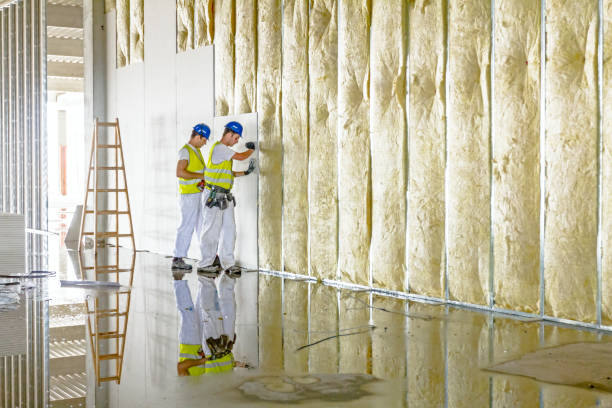 Best Wall Insulation Installation  in Queensland, MD